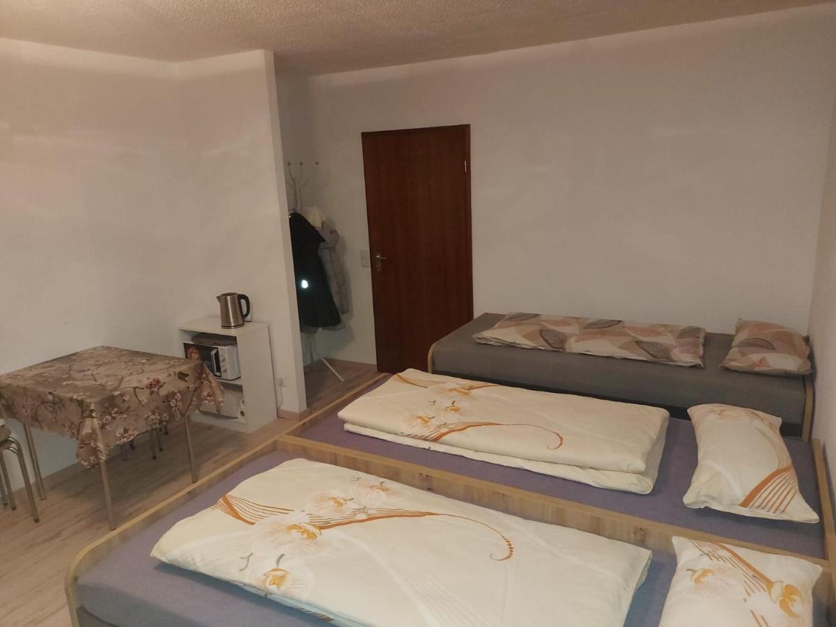 Steinhuebel Uni-Naehe Apartment Хомбург Екстериор снимка